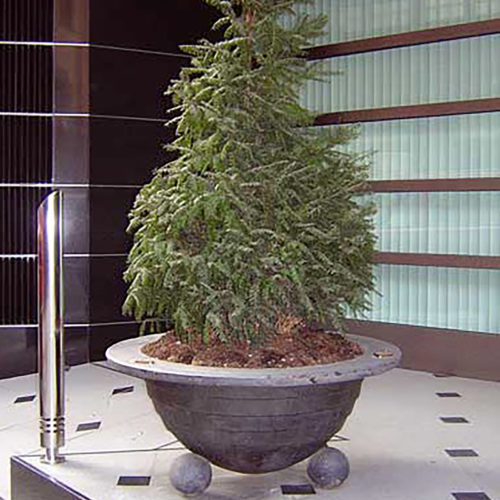 Sferica Piccola